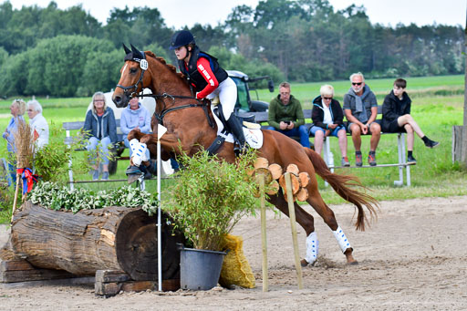 Goldene Schärpe Pferde  in Löningen  11+12.6.22 | 11062022 - Gelände 1 Abt_0647 