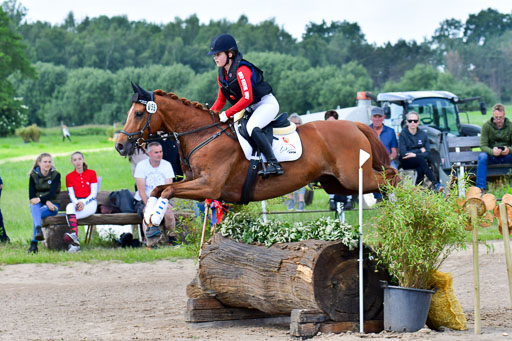 Goldene Schärpe Pferde  in Löningen  11+12.6.22 | 11062022 - Gelände 1 Abt_0649 