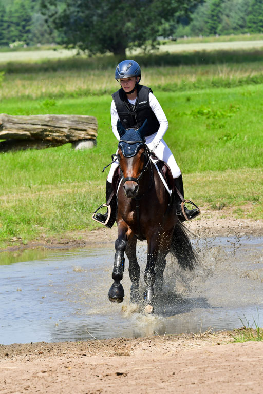 Goldene Schärpe Pferde  in Löningen  11+12.6.22 | 11062022 - Gelände 1 Abt_0660 