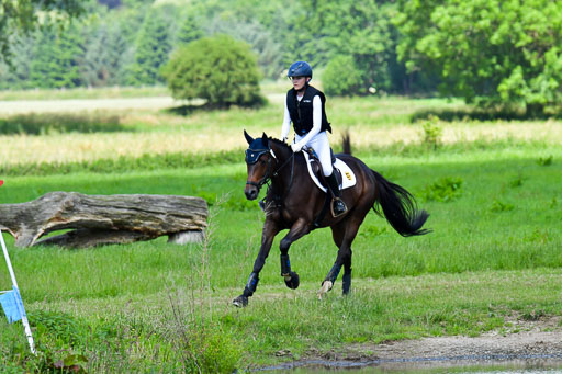 Goldene Schärpe Pferde  in Löningen  11+12.6.22 | 11062022 - Gelände 1 Abt_0666 