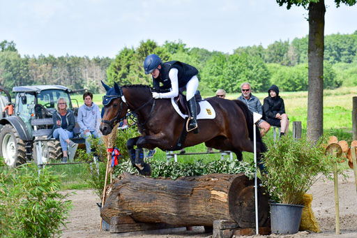 Goldene Schärpe Pferde  in Löningen  11+12.6.22 | 11062022 - Gelände 1 Abt_0669 