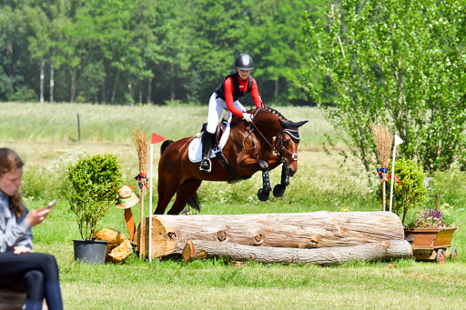 Goldene Schärpe Pferde  in Löningen  11+12.6.22 | 11062022 - Gelände 1 Abt_0674 