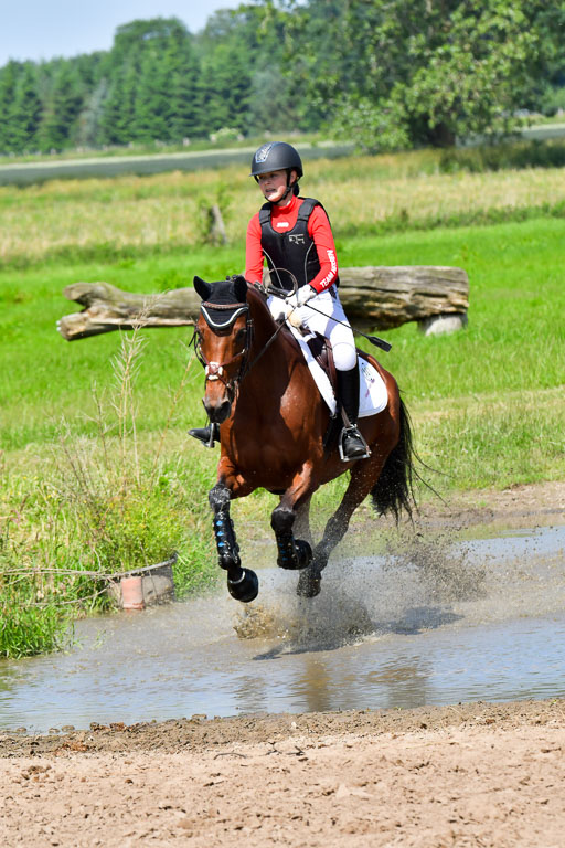 Goldene Schärpe Pferde  in Löningen  11+12.6.22 | 11062022 - Gelände 1 Abt_0682 