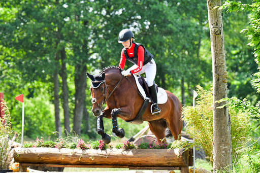 Goldene Schärpe Pferde  in Löningen  11+12.6.22 | 11062022 - Gelände 1 Abt_0687 