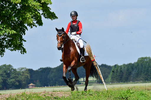 Goldene Schärpe Pferde  in Löningen  11+12.6.22 | 11062022 - Gelände 1 Abt_0690 