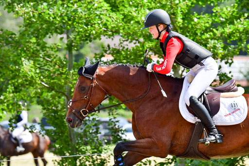 Goldene Schärpe Pferde  in Löningen  11+12.6.22 | 11062022 - Gelände 1 Abt_0695 