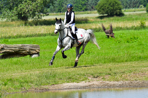 Goldene Schärpe Pferde  in Löningen  11+12.6.22 | 11062022 - Gelände 1 Abt_0735 
