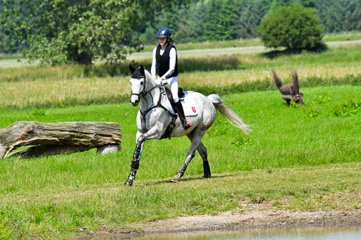Goldene Schärpe Pferde  in Löningen  11+12.6.22 | 11062022 - Gelände 1 Abt_0736 