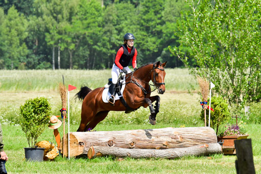 Goldene Schärpe Pferde  in Löningen  11+12.6.22 | 11062022 - Gelände 1 Abt_0745 