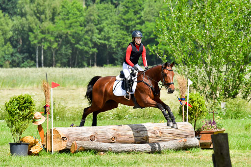 Goldene Schärpe Pferde  in Löningen  11+12.6.22 | 11062022 - Gelände 1 Abt_0746 