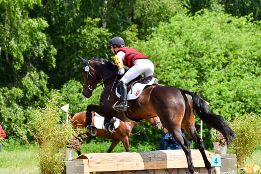 Goldene Schärpe Pferde  in Löningen  11+12.6.22 | 11062022 - Gelände 1 Abt_0771 