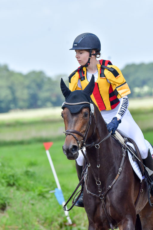Goldene Schärpe Pferde  in Löningen  11+12.6.22 | 11062022 - Gelände 1 Abt_0778 