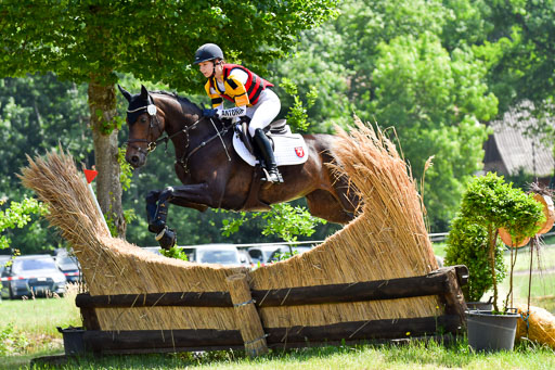 Goldene Schärpe Pferde  in Löningen  11+12.6.22 | 11062022 - Gelände 1 Abt_0790 