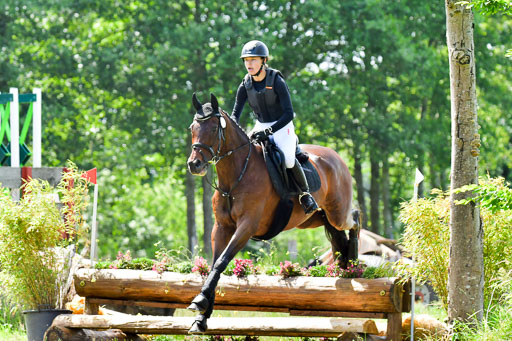 Goldene Schärpe Pferde  in Löningen  11+12.6.22 | 11062022 - Gelände 1 Abt_0800 