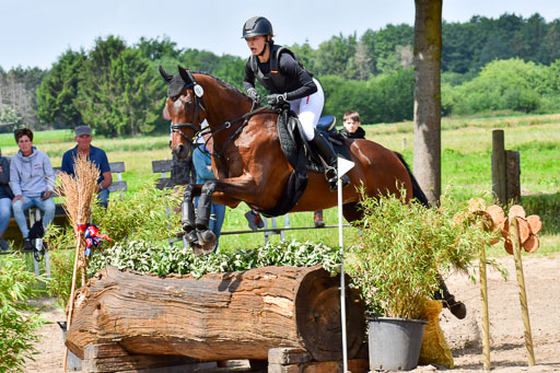Goldene Schärpe Pferde  in Löningen  11+12.6.22 | 11062022 - Gelände 1 Abt_0805 