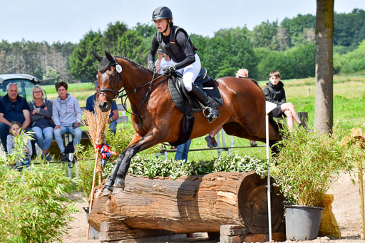 Goldene Schärpe Pferde  in Löningen  11+12.6.22 | 11062022 - Gelände 1 Abt_0806 