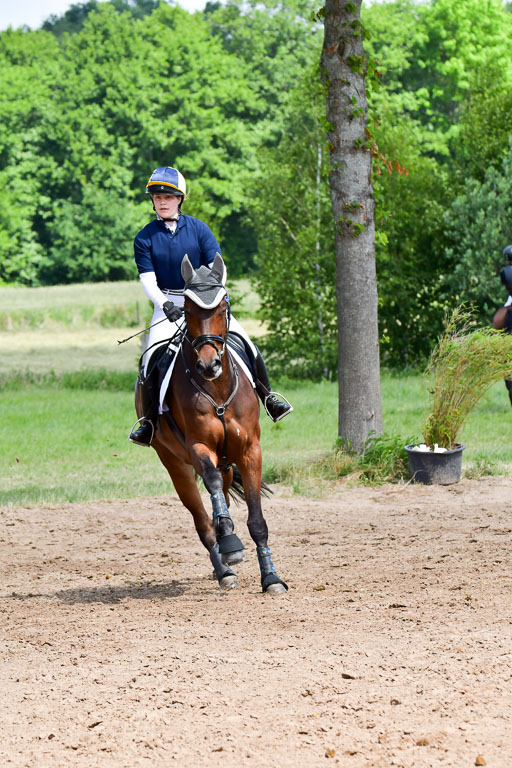 Goldene Schärpe Pferde  in Löningen  11+12.6.22 | 11062022 - Gelände 1 Abt_0810 