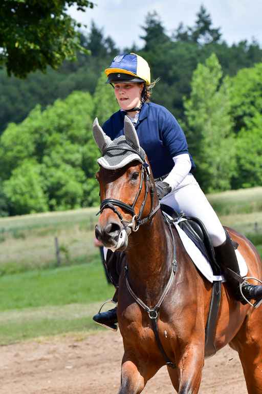 Goldene Schärpe Pferde  in Löningen  11+12.6.22 | 11062022 - Gelände 1 Abt_0814 