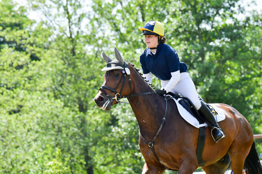 Goldene Schärpe Pferde  in Löningen  11+12.6.22 | 11062022 - Gelände 1 Abt_0831 