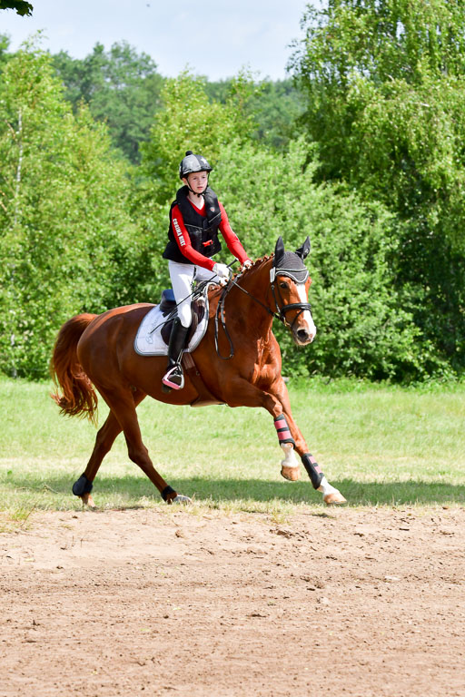 Goldene Schärpe Pferde  in Löningen  11+12.6.22 | 11062022 - Gelände 1 Abt_0844 