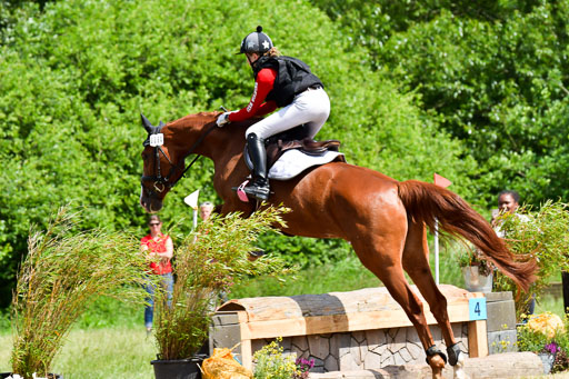 Goldene Schärpe Pferde  in Löningen  11+12.6.22 | 11062022 - Gelände 1 Abt_0847 