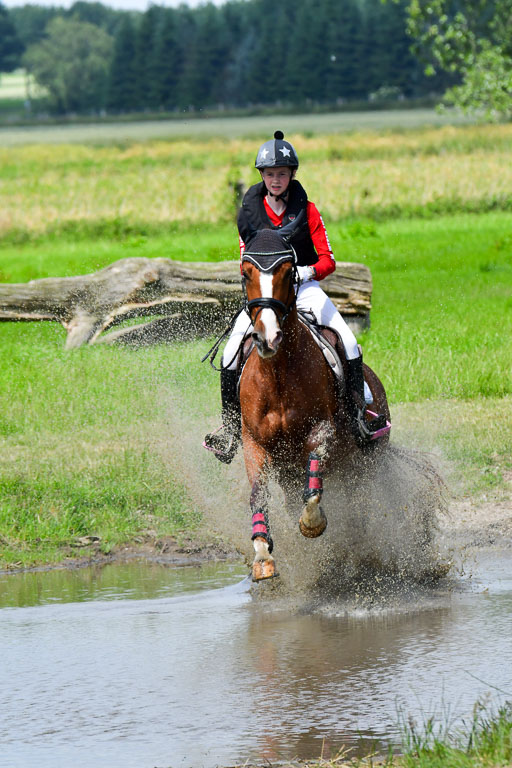 Goldene Schärpe Pferde  in Löningen  11+12.6.22 | 11062022 - Gelände 1 Abt_0851 
