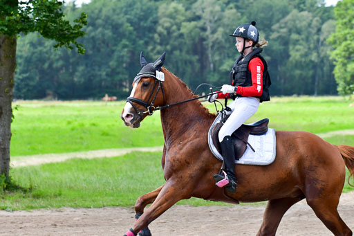 Goldene Schärpe Pferde  in Löningen  11+12.6.22 | 11062022 - Gelände 1 Abt_0865 
