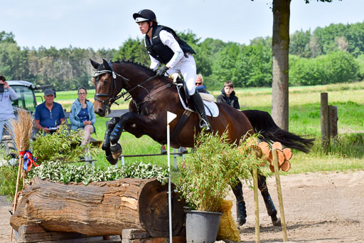 Goldene Schärpe Pferde  in Löningen  11+12.6.22 | 11062022 - Gelände 1 Abt_0885 