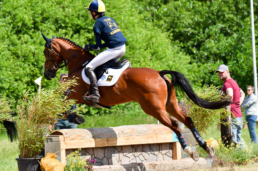 Goldene Schärpe Pferde  in Löningen  11+12.6.22 | 11062022 - Gelände 1 Abt_0896 