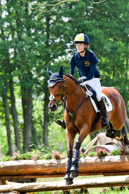Goldene Schärpe Pferde  in Löningen  11+12.6.22 | 11062022 - Gelände 1 Abt_0907 