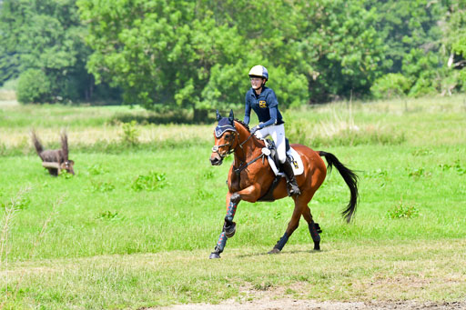 Goldene Schärpe Pferde  in Löningen  11+12.6.22 | 11062022 - Gelände 1 Abt_0908 