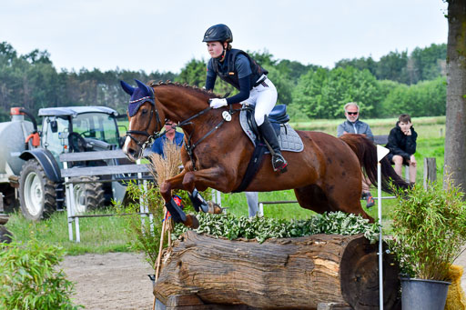 Goldene Schärpe Pferde  in Löningen  11+12.6.22 | 11062022 - Gelände 1 Abt_0930 