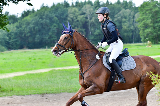 Goldene Schärpe Pferde  in Löningen  11+12.6.22 | 11062022 - Gelände 1 Abt_0931 