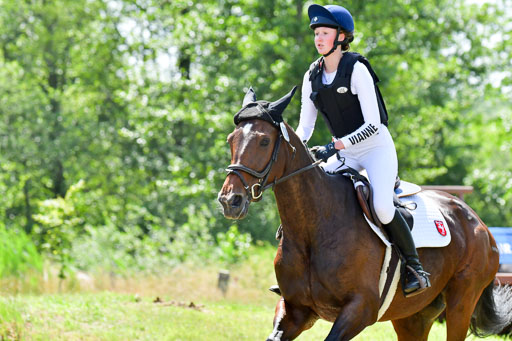 Goldene Schärpe Pferde  in Löningen  11+12.6.22 | 11062022 - Gelände 1 Abt_0953 