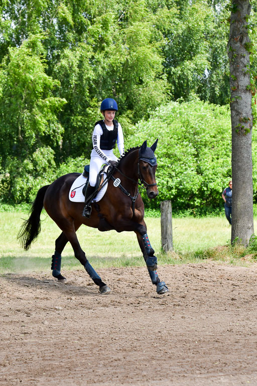 Goldene Schärpe Pferde  in Löningen  11+12.6.22 | 11062022 - Gelände 1 Abt_0963 