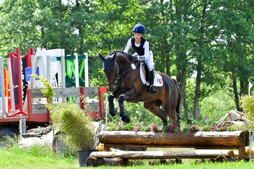 Goldene Schärpe Pferde  in Löningen  11+12.6.22 | 11062022 - Gelände 1 Abt_0980 