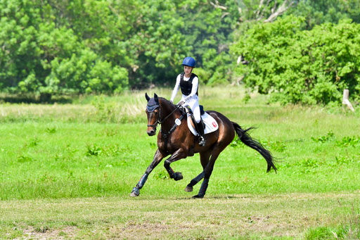 Goldene Schärpe Pferde  in Löningen  11+12.6.22 | 11062022 - Gelände 1 Abt_0981 
