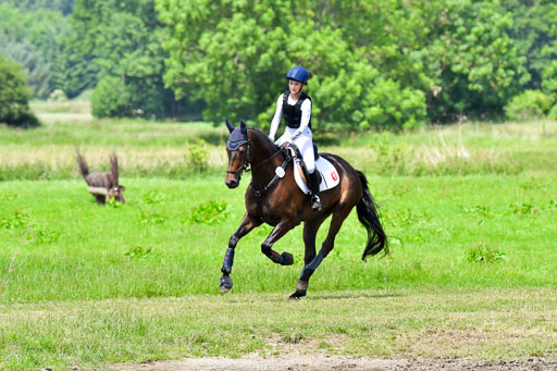 Goldene Schärpe Pferde  in Löningen  11+12.6.22 | 11062022 - Gelände 1 Abt_0982 