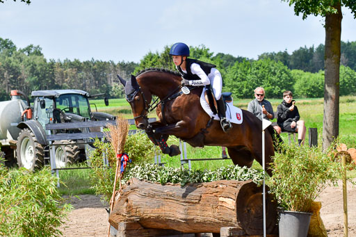 Goldene Schärpe Pferde  in Löningen  11+12.6.22 | 11062022 - Gelände 1 Abt_0985 