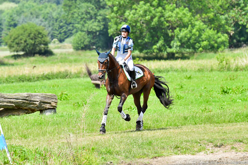 Goldene Schärpe Pferde  in Löningen  11+12.6.22 | 11062022 - Gelände 1 Abt_1014 