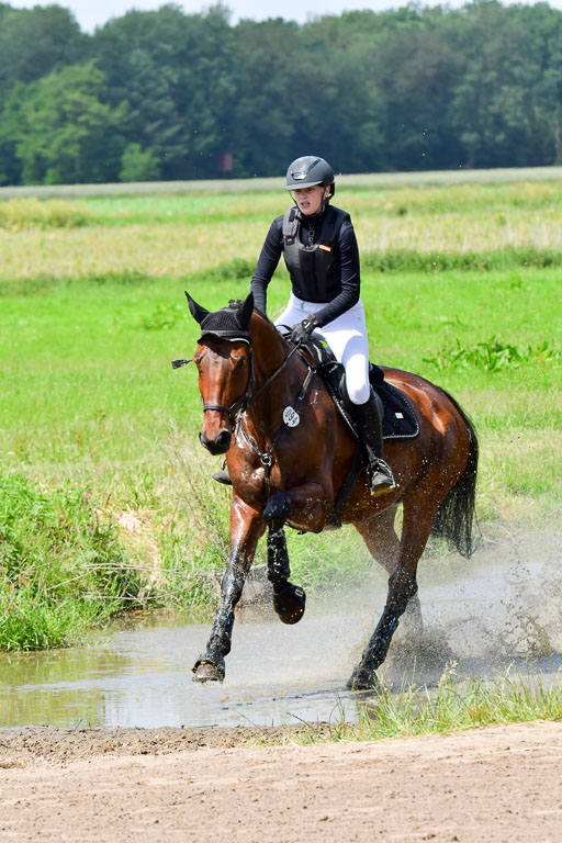 Goldene Schärpe Pferde  in Löningen  11+12.6.22 | 11062022 - Gelände 1 Abt_1031 