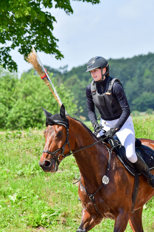 Goldene Schärpe Pferde  in Löningen  11+12.6.22 | 11062022 - Gelände 1 Abt_1033 