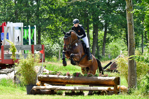 Goldene Schärpe Pferde  in Löningen  11+12.6.22 | 11062022 - Gelände 1 Abt_1034 