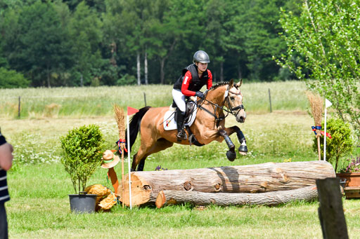 Goldene Schärpe Pferde  in Löningen  11+12.6.22 | 11062022 - Gelände 1 Abt_1046 