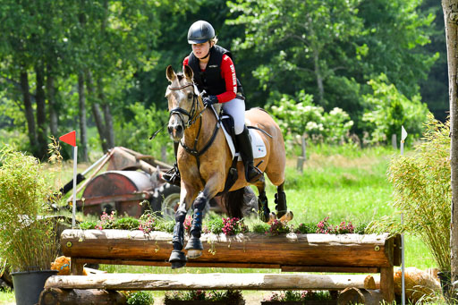 Goldene Schärpe Pferde  in Löningen  11+12.6.22 | 11062022 - Gelände 1 Abt_1063 