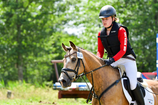 Goldene Schärpe Pferde  in Löningen  11+12.6.22 | 11062022 - Gelände 1 Abt_1064 