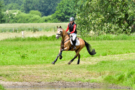 Goldene Schärpe Pferde  in Löningen  11+12.6.22 | 11062022 - Gelände 1 Abt_1065 