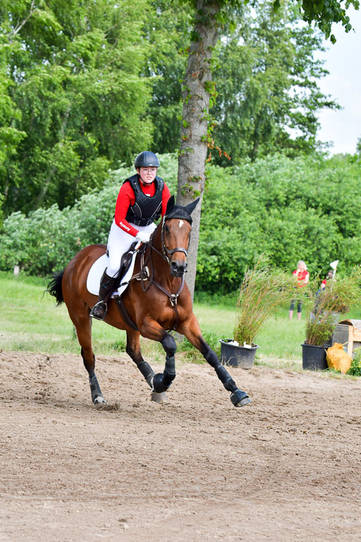 Goldene Schärpe PFerde  in Löningen  11+12.6.22 | 11062022 - Gelände 1 Abt_1075 