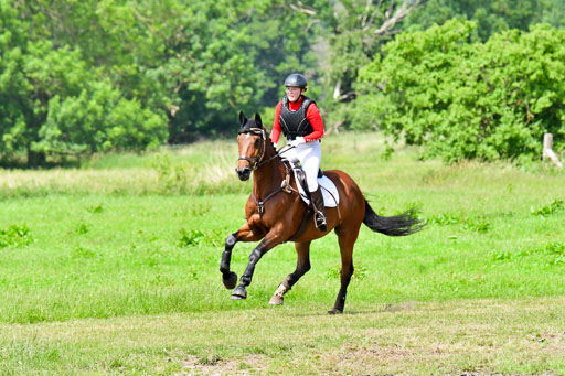 Goldene Schärpe PFerde  in Löningen  11+12.6.22 | 11062022 - Gelände 1 Abt_1089 