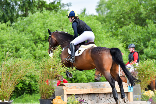 Goldene Schärpe PFerde  in Löningen  11+12.6.22 | 11062022 - Gelände 1 Abt_1100 